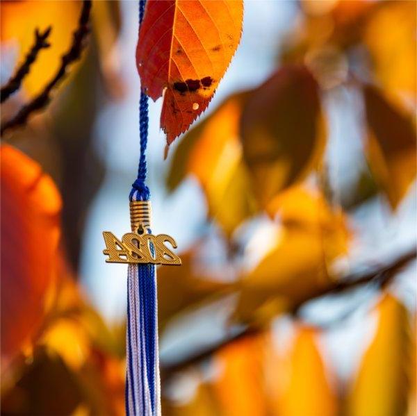 A blue and white tassel with a 2024 charm hangs among colorful leaves.